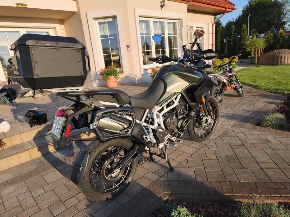 Tiger Triumph 900