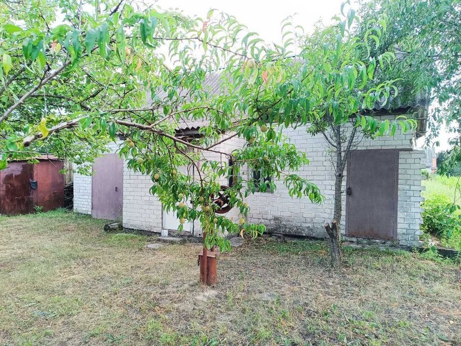 Продам дом-дачу с. Задонецкое (Дачное)