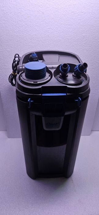 Animais aquario peixes