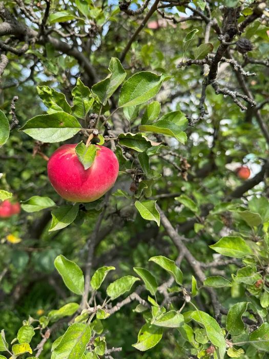 *Продаж будинку в Крюкові