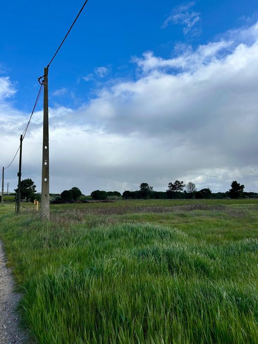 Terreno Rústico 11.040m² em Almeirim | Excelente Oportunidade