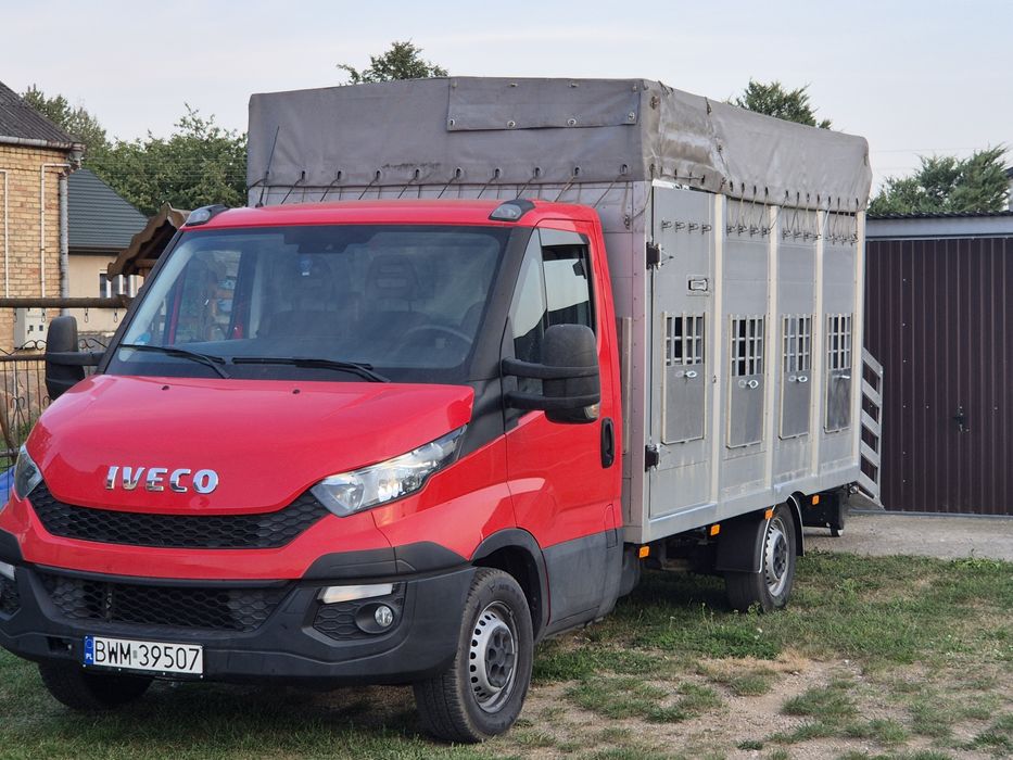 Usługi, transport zwierząt .