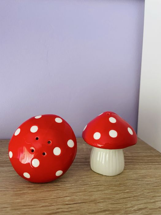 Solniczka pieprzniczka muchomor