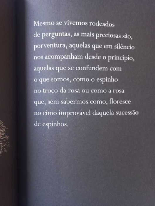 Pequeno Caminho das Grandes Perguntas - José Tolentino Mendonça