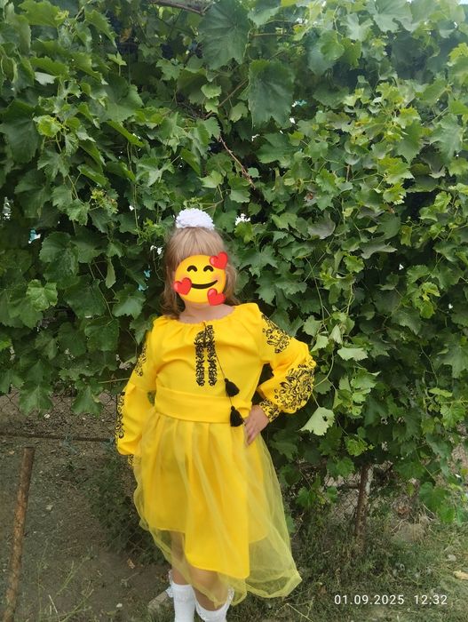 Вишиванка,святкова