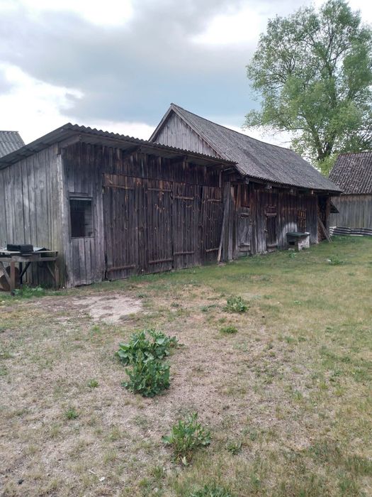 Dom z siedliskiem Brzuza