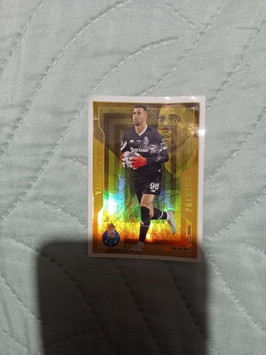 Cromo Diogo Costa 2023-24 panini
