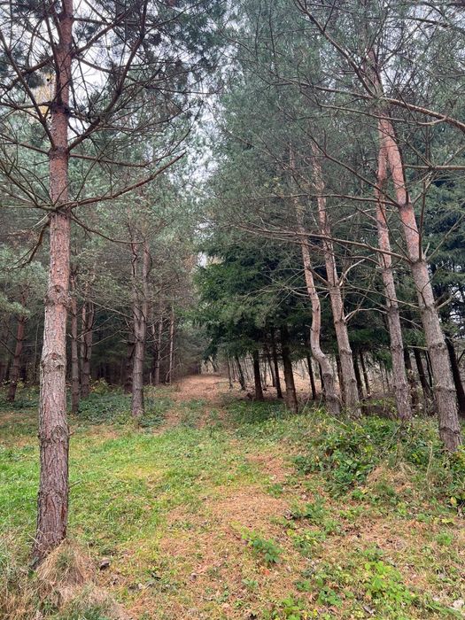 Dzialka widokowa warunki zabudowy Bieszczady