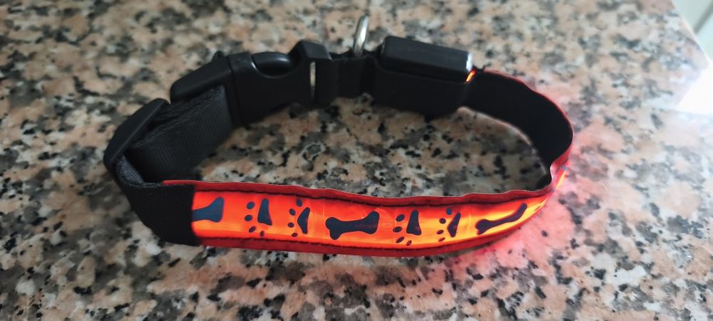 Coleira cão com luzes