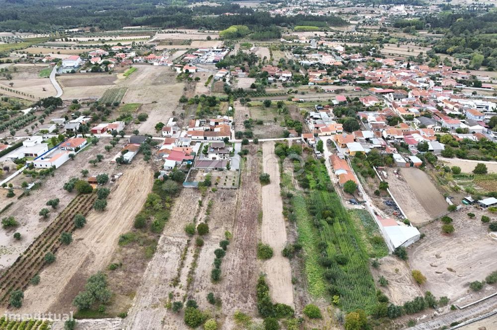 Terreno Cadima