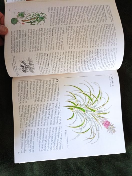 O Grande Livro das Plantas de Interior. Reader’s Digest. 1ª ed - 1982