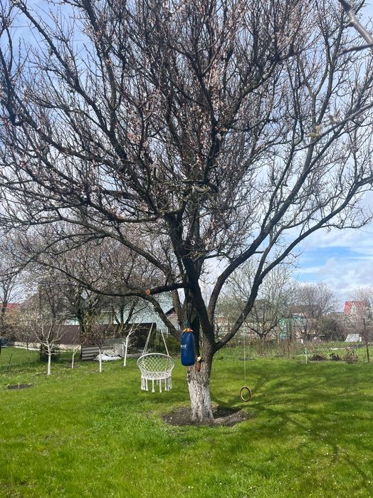 Дача СТ «Тарасівське» село Вільне Броварський район Київська область