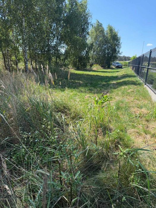 Działka budowlana Tuliłów 1617 m² - Widok 4