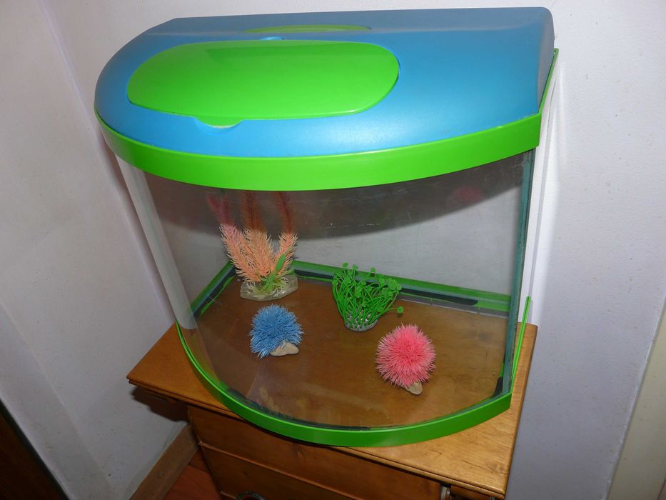 Panoramiczne akwarium kolorowe z giętą szybą grzałka roślinki