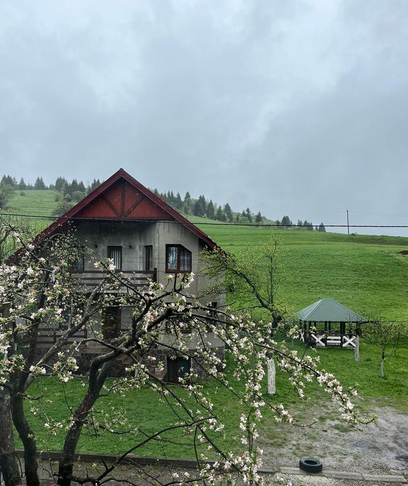 Відпочинок в Карпатах