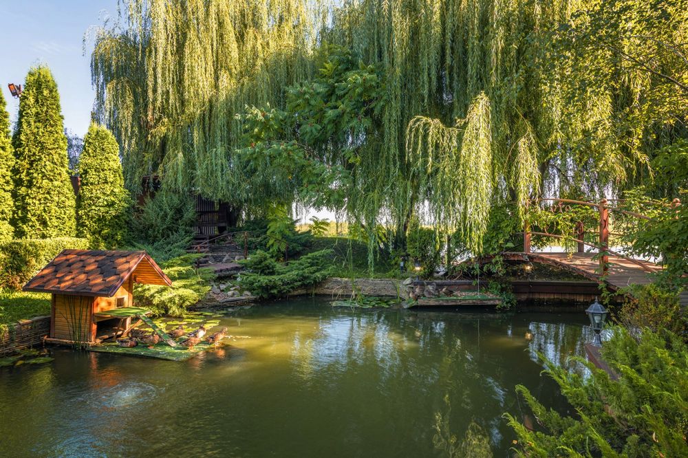 Світло завжди !! Бассейн, чан, баня, река, сапы, каяки,бильярд