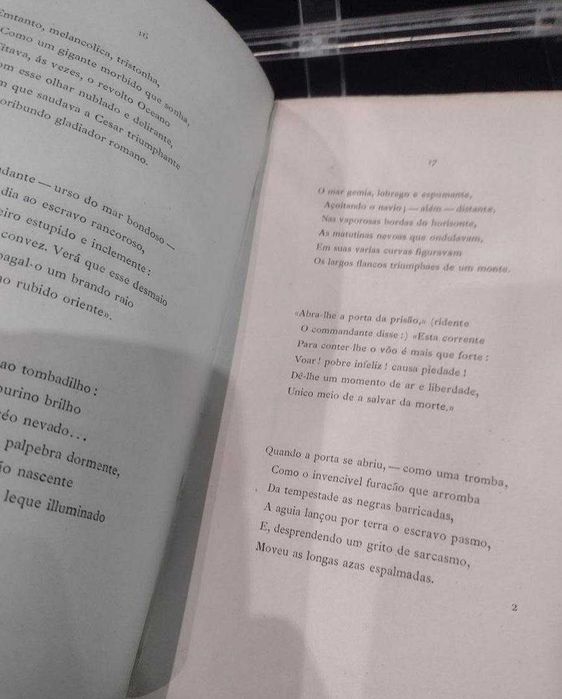 A Memória de Cecilia Guimarães - Luiz Guimarães