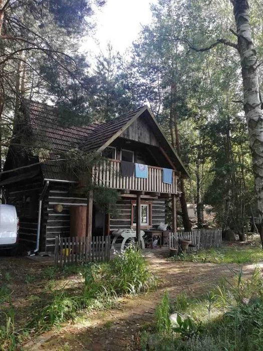 Agroturystyka Wędkarska DBaits - Domki