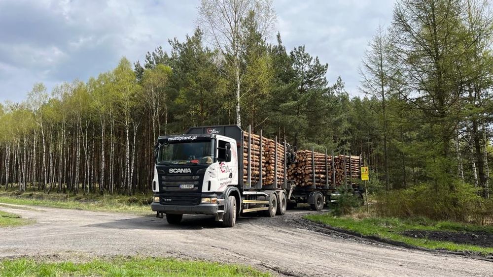Transport drewna HDS, transport leśny