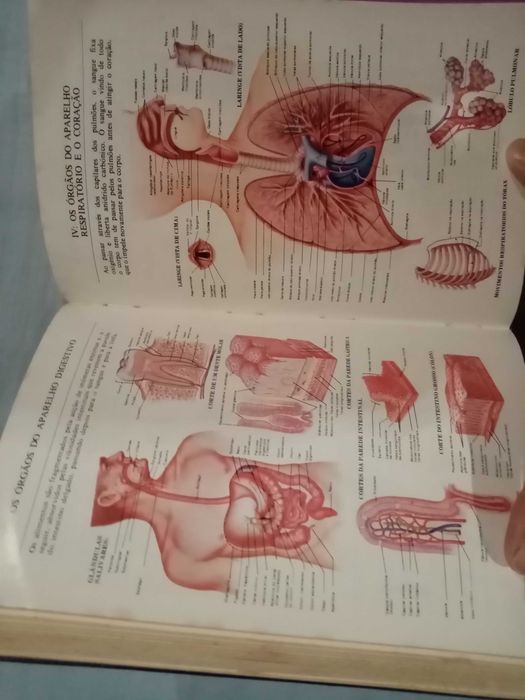 O Grande Livro da Saúde Enciclopédia Médica do Lar