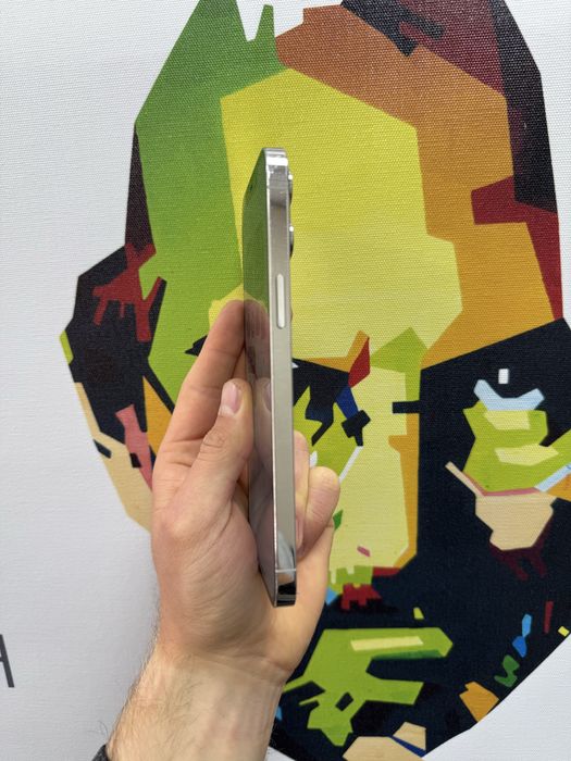 iPhone 12Pro Max 256b Silver Never lock