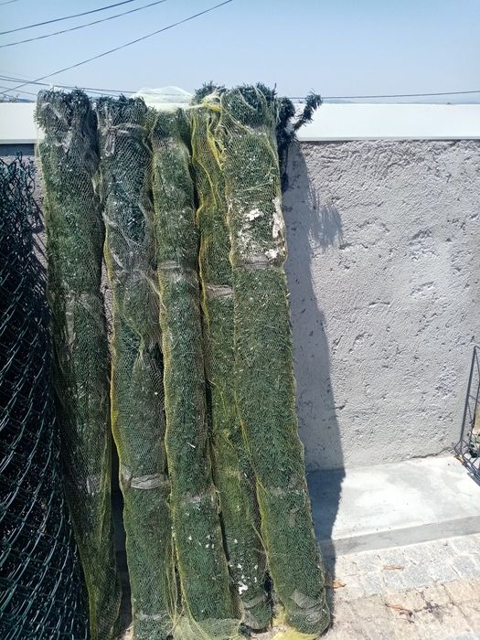 Sebe artificial nova