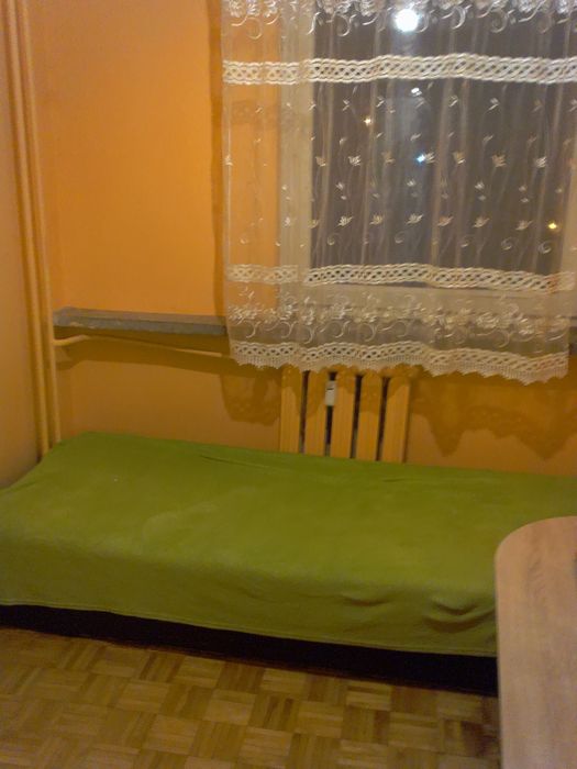 Zdjęcie 5