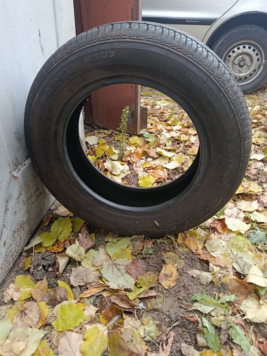 продам диски з резиной р14