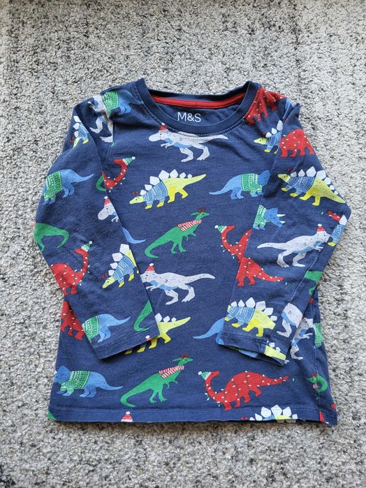 Bluzka dinozaury roz. 104-110