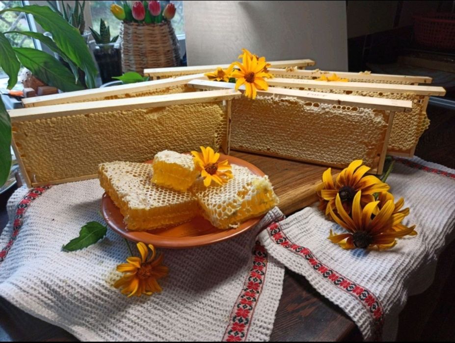 МЕД в сотах, цена за рамку, стільниковий мед, сотовый мёд