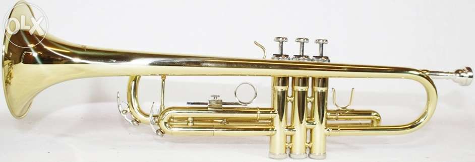 Trompete dourado novo