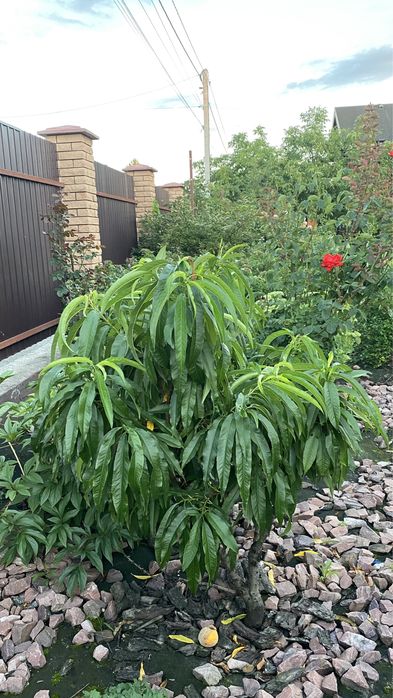 Продаж Будинку 2-х пов. 180м2, с. Романків, м. Київ 20 км. м. Обухів 10км.
