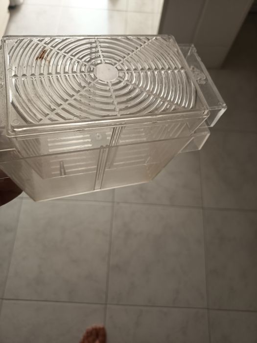 Conjunto de peças para aquário