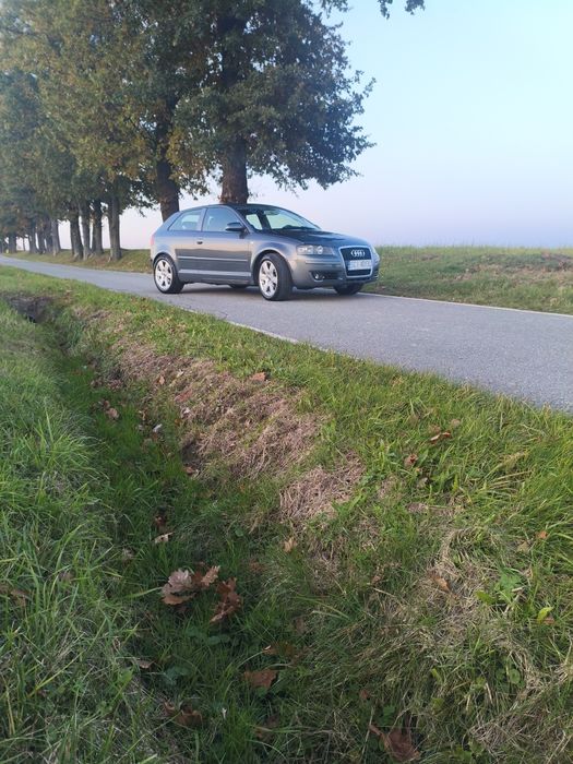Audi A3 8p 1.6 benzyna+lpg