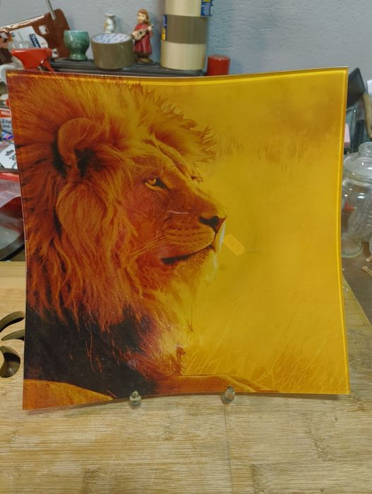 Kolorowa misa z lwem