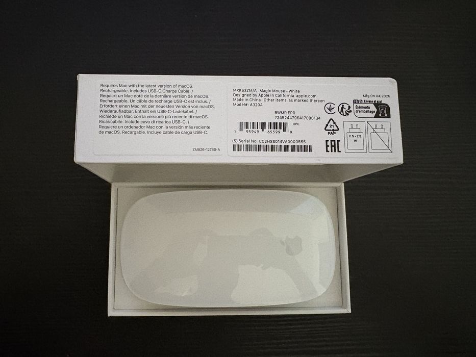 Apple magic mouse multi touch
