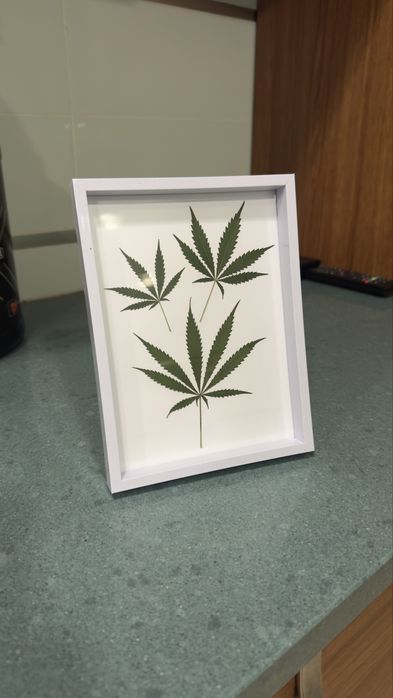 Quadro moldura decorativo folha prensada de cânhamo