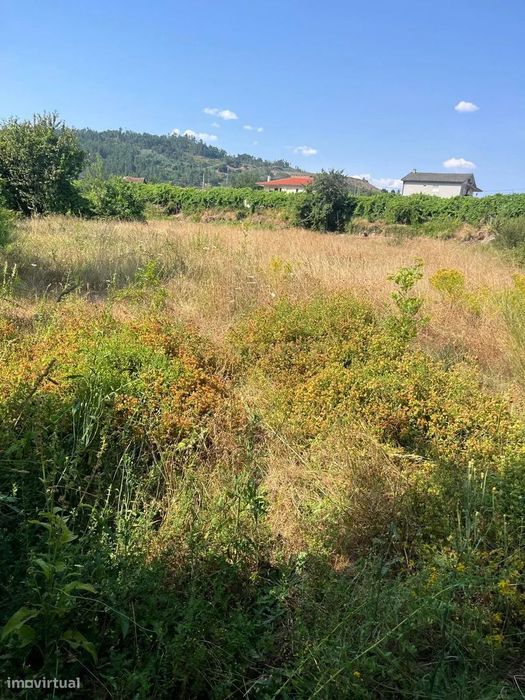 Oportunidade Única: Terreno com 8 300 m² em Padronelo, Amarante