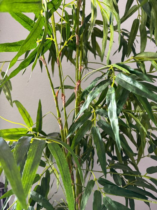 2 artificial bamboo plants with terracotta pots, great realistic look.