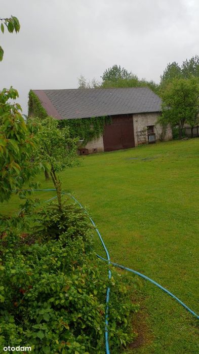 Dom. Stodoła. 1.39ha ziemi