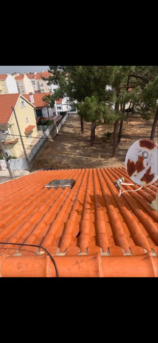 Roof Cleaning and Painting