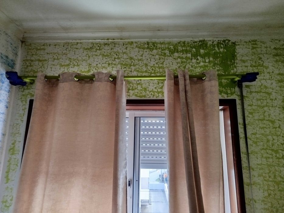 Estudio criança madeira mássissa