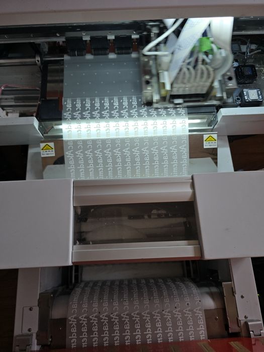 ДТФ принтер 30см