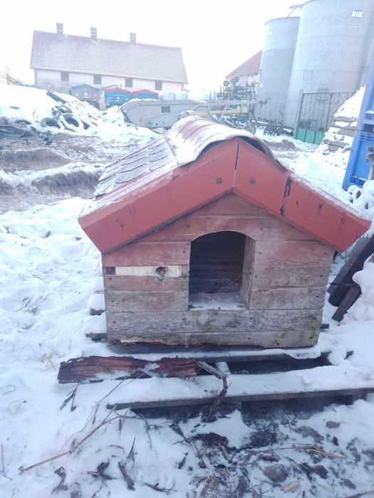 Buda ocieplana dla psa