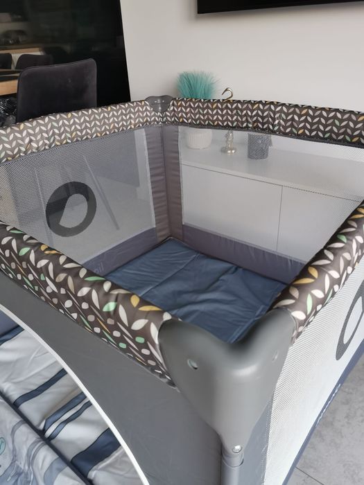Kojec lionelo 100x100