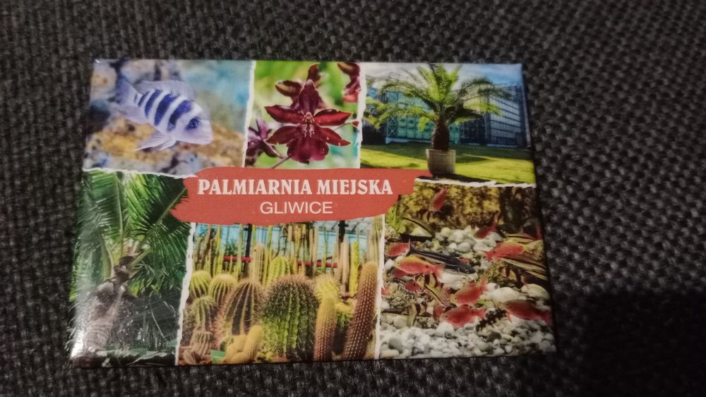 Magnesy na lodówkę Polska