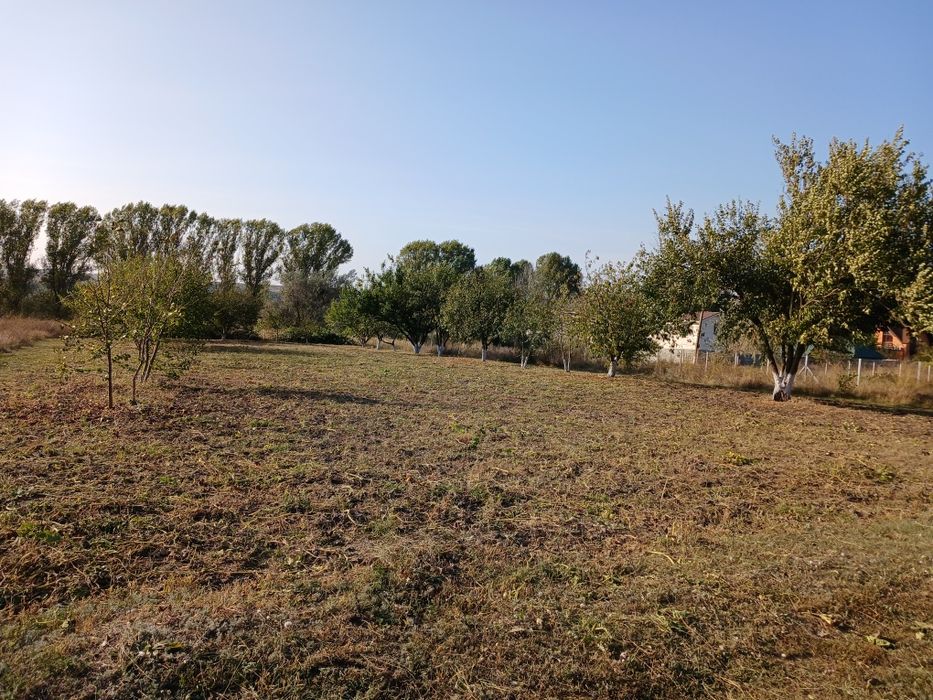 Продам земельну ділянку