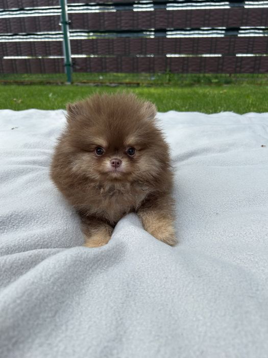 Przesliczny chlopiec