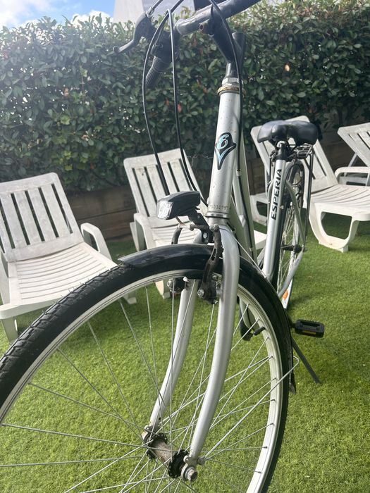 Bicicleta pasteleira