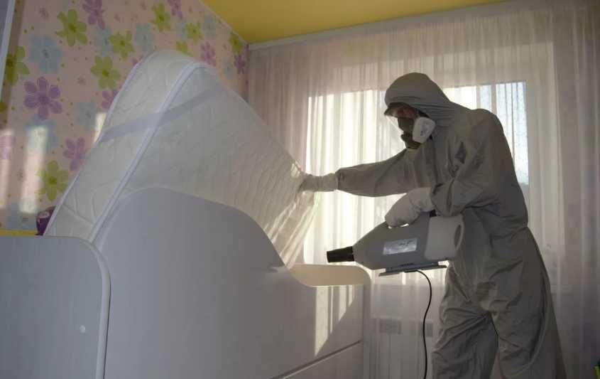 Уничтожение тараканов и клопов Киев и область Срочно Выезд сегодня